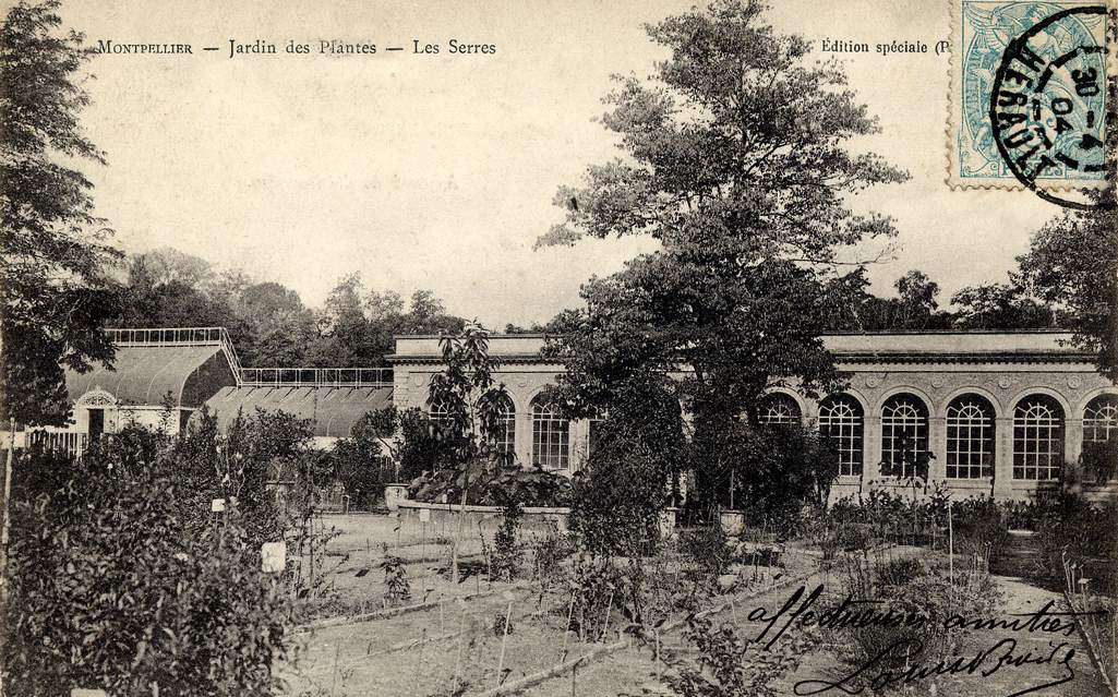 Jardin des plantes, vers 1900, 6Fi 177