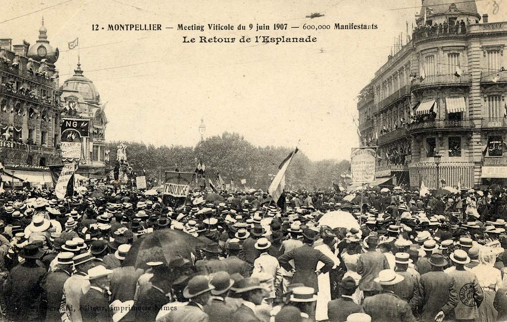 Manifestation viticole, en 1907, 6Fi 42