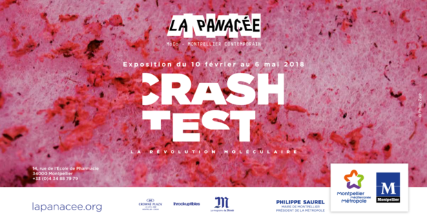 Grand Succès pour "Crash test" à La Panacée - Moco