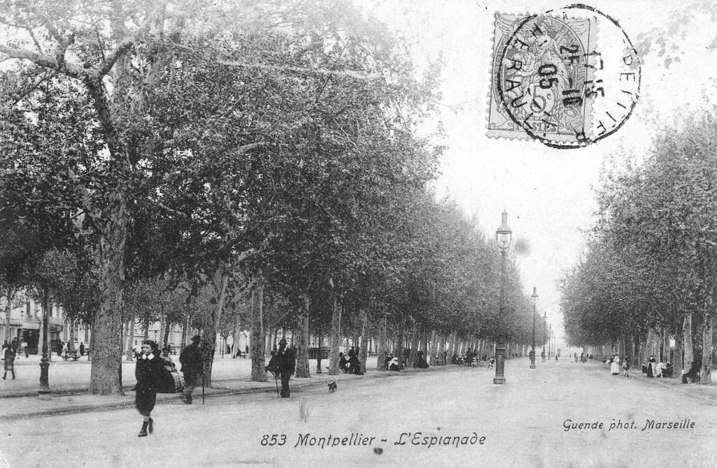 Esplanade, vers 1900. AMM, carte postale, 6Fi543