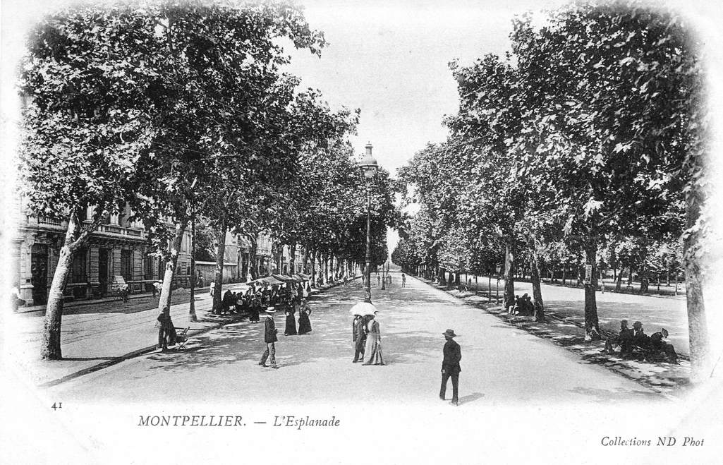 L'Esplanade, vers 1900. AMM, carte postale, 6Fi 354