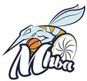 Montpellier Handi Basket Association – MHBA
