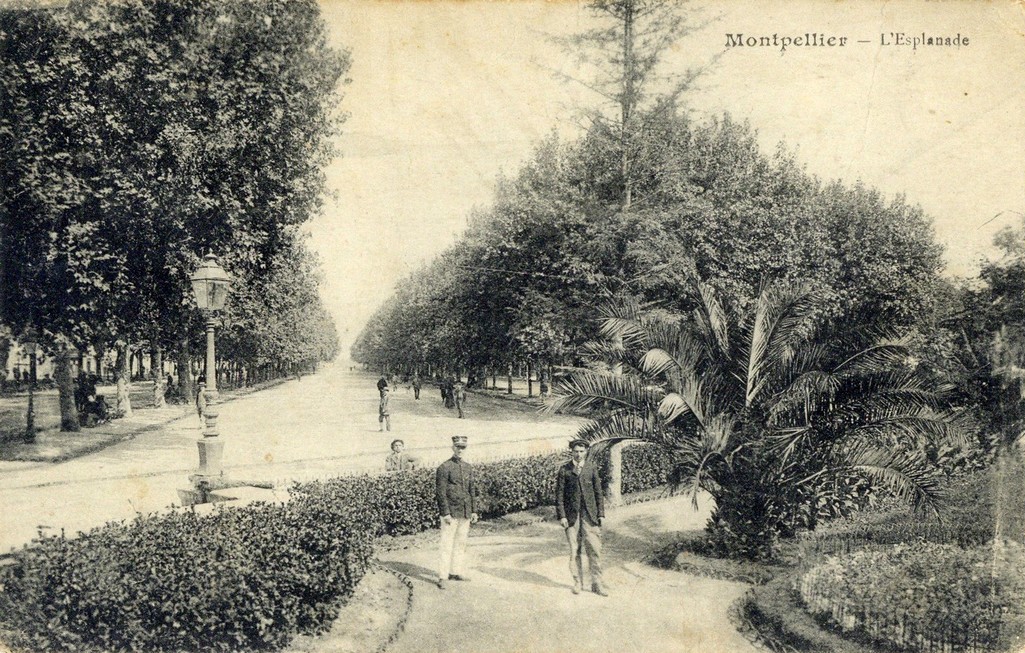 L'Esplanade, vers 1900. AMM, carte postale, 6Fi1146
