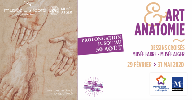 Exposition " Art et anatomie - dessins croisés" - Musée Fabre / Musée Atger