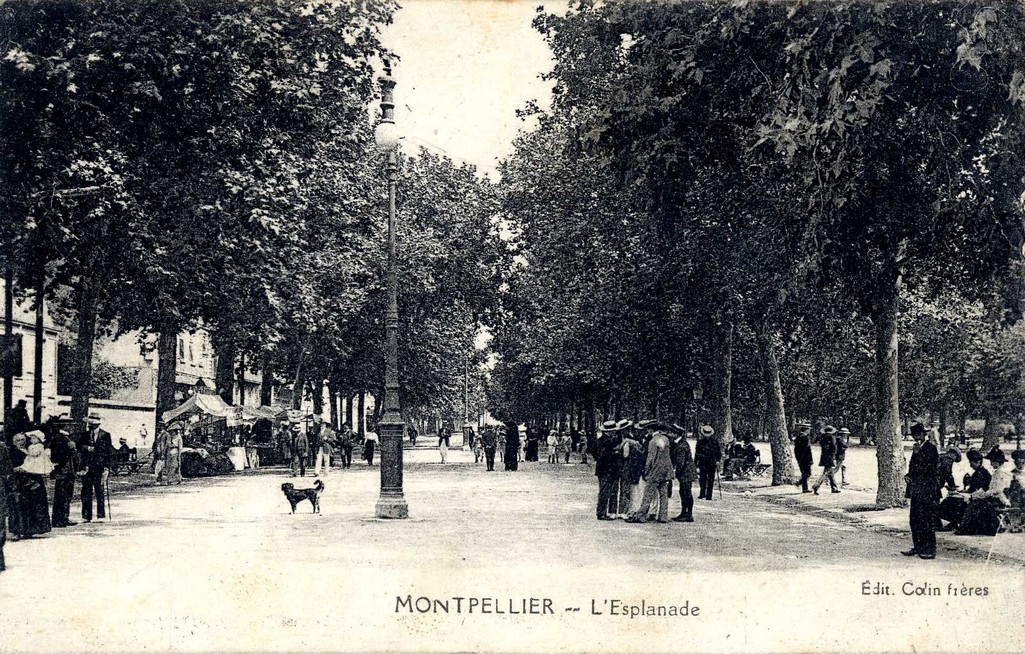 L'Esplanade, vers 1900. AMM, carte postale, 6Fi583