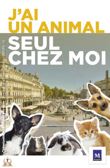 La Ville de Montpellier présente la carte « Je protège mon animal » mardi 27 août 2019