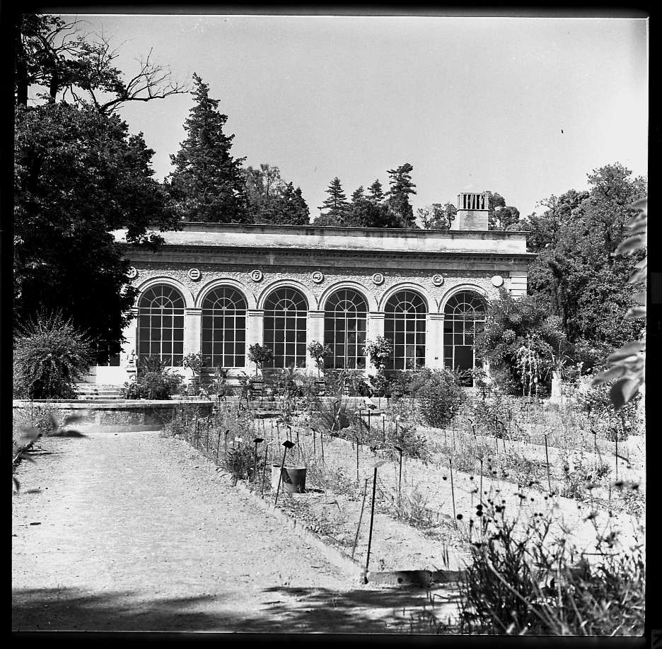 Jardin des Plantes, vue des serres. AMM, Jean Ribière, 13Fi4_2