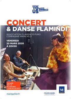 Concert – danse flamindi