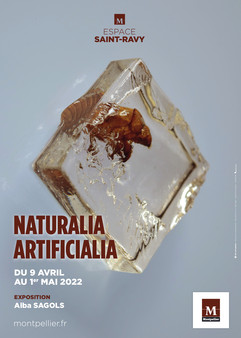Exposition « Naturalia Artificialia » du 9 avril au 1er mai 2022 a l'espace Saint-Ravy 