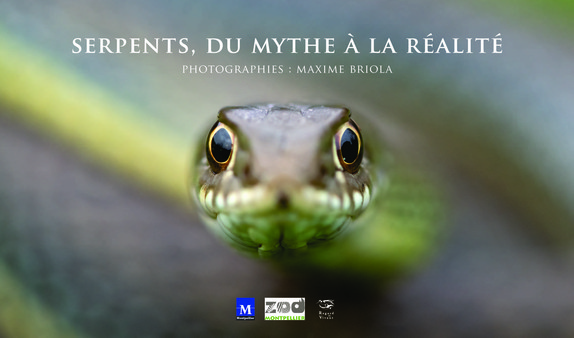 Découvrez l’exposition "Serpents, du mythe à la réalité" au parc de Lunaret du 22 janvier au 24 avril 2022
