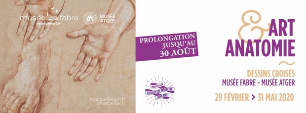 [PROLONGATION] Exposition Art & Anatomie – Dessins croisés, musée Fabre / musée Atger