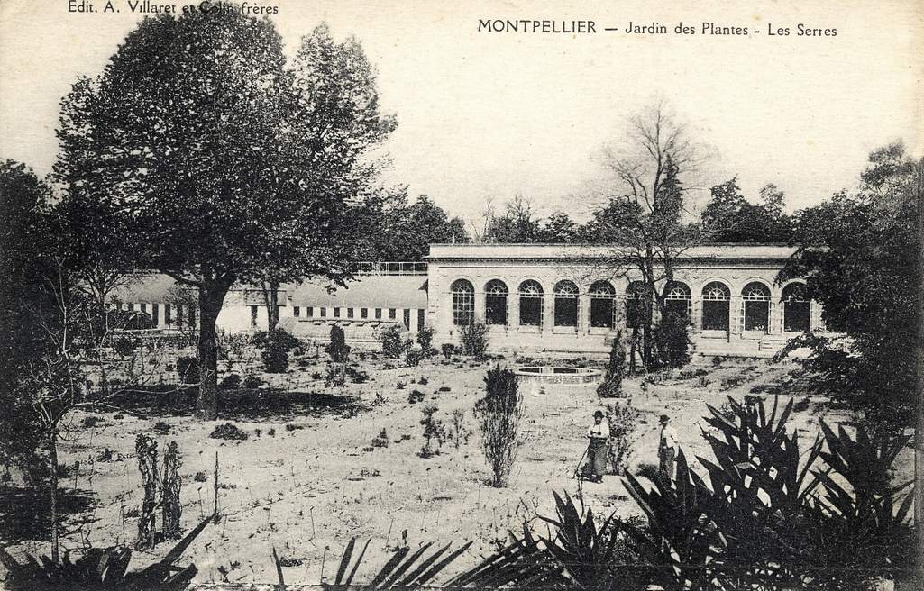 Jardin des plantes, vers 1900, 6Fi 187