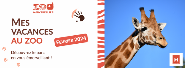 Février 2024 : mes vacances au zoo !