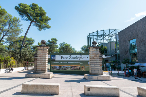 Le zoo de Montpellier ouvrira à partir de midi le mardi 22 février 2022 