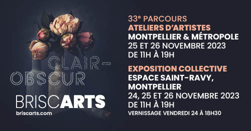 Exposition des Briscarts du 24 au 26 novembre 2023 à l'Espace Saint-Ravy   