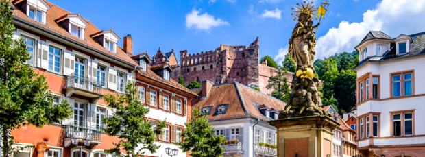 Bourse de mobilité à Heidelberg : année d'étude avec stage à la Maison de Montpellier de septembre 2024 à juillet 2025
